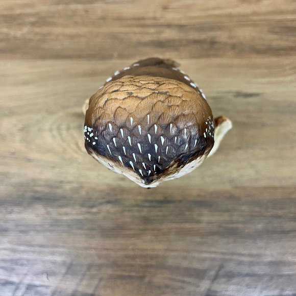 John James Audubon, Saw Whet Owl, Vintage 80s Ceramic Owl Figure - Picture 7 of 10